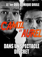 Camil et Aurel dans Un Spectacle Discret Thtre Comdie Odon Affiche