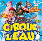 Le Cirque sur l'Eau | - Erquy Chapiteau Le Cirque sur l'eau  Erquy Affiche