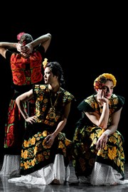 Thomas Lebrun : Sous les fleurs Chaillot - Thtre National de la Danse / Salle Gmier Affiche