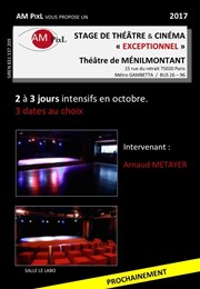 Stage exceptionnel de théâtre et cinéma AM PixL au Théâtre de Menilmontant Thtre de Mnilmontant - Salle Guy Rtor Affiche
