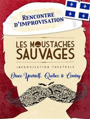 Les Moustaches Sauvages reçoivent le Québec Comdie de Paris Affiche
