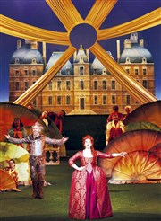 Boismortier : Don Quichotte chez la duchesse Opra Royal - Chteau de Versailles Affiche