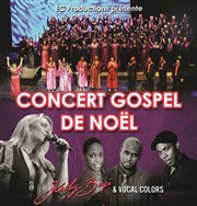 Concert gospel de Noël Salle des Ftes de Fenouillet Affiche