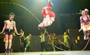 Cirque Eloize dans iD Chaillot - Thtre National de la Danse / Salle Jean Vilar Affiche