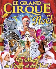 Le Grand Cirque de Noël à Dijon Chapiteau Le Grand cirque de Saint Petersbourg  Dijon Affiche