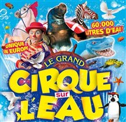 Le Cirque sur l'Eau | - Perros Guirec Chapiteau Le Cirque sur l'eau  Perros Guirec Affiche