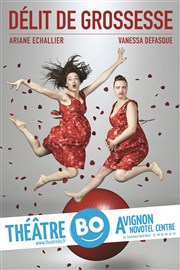 Délit de grossesse Thtre BO Avignon - Novotel Centre - Salle 1 Affiche