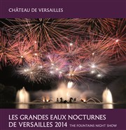 Les Grandes Eaux Nocturnes Jardin du chteau de Versailles - Entre Cour d'Honneur Affiche