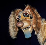 Hippolyte ou une vie de chien Thtre de Marionnettes de Belfort Affiche
