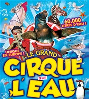 Le Cirque sur l'Eau | - Toulouse Chapiteau Le Cirque sur l'eau  toulouse Affiche