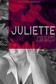 Julie Brunie Tajan dans Juliette Thtre l'Inox Affiche