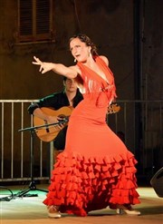 Vuelo flamenco Caf-Thtre Le Tocali Affiche