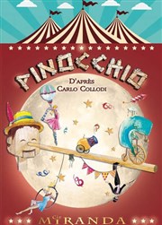 Pinocchio d'après Carlo Collodi Thtre de la Cit Affiche