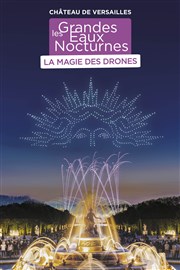 Les Grandes Eaux Nocturnes : La Magie des Drones Jardin du chteau de Versailles - Entre Cour d'Honneur Affiche