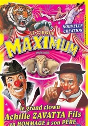 Grand Cirque Maximum dans L'authentique | - Sète Chapiteau Maximum  Ste Affiche