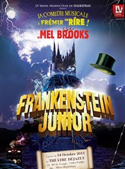 Frankenstein junior Thtre Djazet Affiche