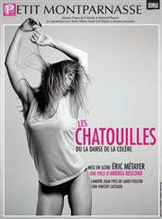 Les Chatouilles ou la danse de la colère | Mis en scène par Eric Metayer Thtre du Petit Montparnasse Affiche