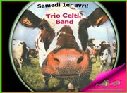 Trio Celtic Band | Musique Irlandaise Pniche Le Lapin vert Affiche