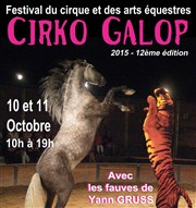Festival Cirko Galop | Spectacle de cirque Chapiteau Cheval Art Action Affiche
