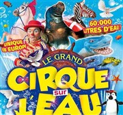 Le Cirque sur l'Eau | - Cholet Chapiteau Le Cirque sur l'eau  Cholet Affiche