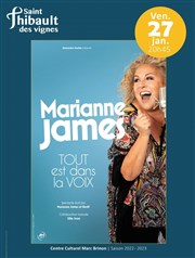Marianne James - Tout est dans la voix Centre Culturel de Saint Thibault des Vignes Affiche