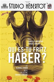 Qui es-tu Fritz Haber ? Studio Hebertot Affiche