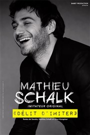Mathieu Schalk dans Délit d'imiter Thtre de l'Observance - salle 1 Affiche