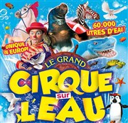 Le Cirque sur l'Eau | - Lorient Chapiteau Le Cirque sur l'eau  Lorient Affiche