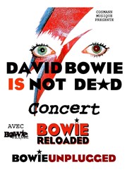 David Bowie is not dead Thtre de Mnilmontant - Salle Guy Rtor Affiche