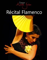 Récital Flamenco Fort du Bruissin Affiche