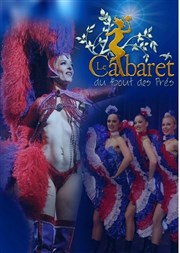 Show 70 and Co | Dîner-spectacle Cabaret du Bout des Prs Affiche