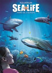 Tag' ton requin Aquarium Sealife Affiche