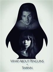 What About Penguins + Swann La Dame de Canton Affiche
