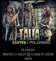 Talia + Zantek + Polarbird La Dame de Canton Affiche