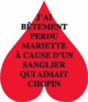 J'ai bêtement perdu Mariette à cause d'un sanglier qui aimait Chopin Pixel Avignon - Salle Bayaf Affiche