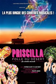 Priscilla folle du désert Casino de Paris Affiche