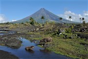 Philippines, les chemins d'un paradis Nouvel espace culturel Affiche