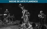 Noche De Arte Flamenco Auditorium de Vaucluse Jean Moulin Affiche