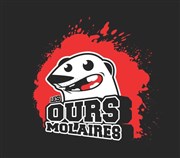 Les Ours Molaires (Montpellier) VS Les SPAM (Nîmes) Maison pour tous George Sand Affiche