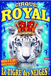 Cirque Royal | - Gassin Chapiteau Cirque Royal  Gassin Affiche