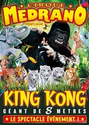 Cirque Medrano dans King Kong, Le Roi de la Jungle | - Saint Malo Chapiteau Medrano  Saint Malo Affiche