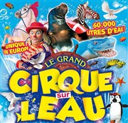Le Cirque sur l'Eau | - Roscoff Chapiteau Le Cirque sur l'eau  Roscoff Affiche