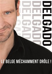 Delgado Thtre BO Avignon - Novotel Centre - Salle 1 Affiche