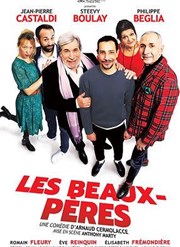 Les Beaux-Pères | avec Jean-Pierre Castaldi et Steevy Boulay Salle Dumas Affiche