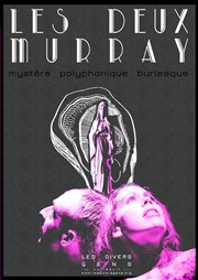 Les deux Murray MJC de Villeurbanne Affiche