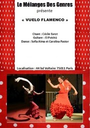 Flamenco au mélange des genres Le mlange des genres Affiche