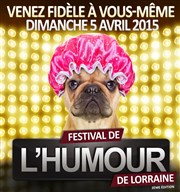 Festival de l'humour de lorraine 2015 | 2ème édition Espace Chaudeau Affiche