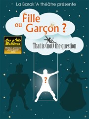 Fille ou Garçon ? That is (not) the question MJC Boby Lapointe Affiche