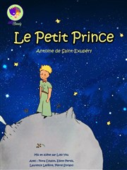 Le Petit Prince Thtre Pixel Affiche