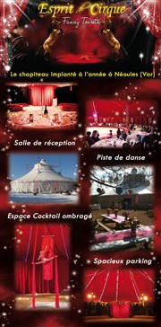 Stage de cirque et équitation Chapiteau Esprit de Cirque Affiche